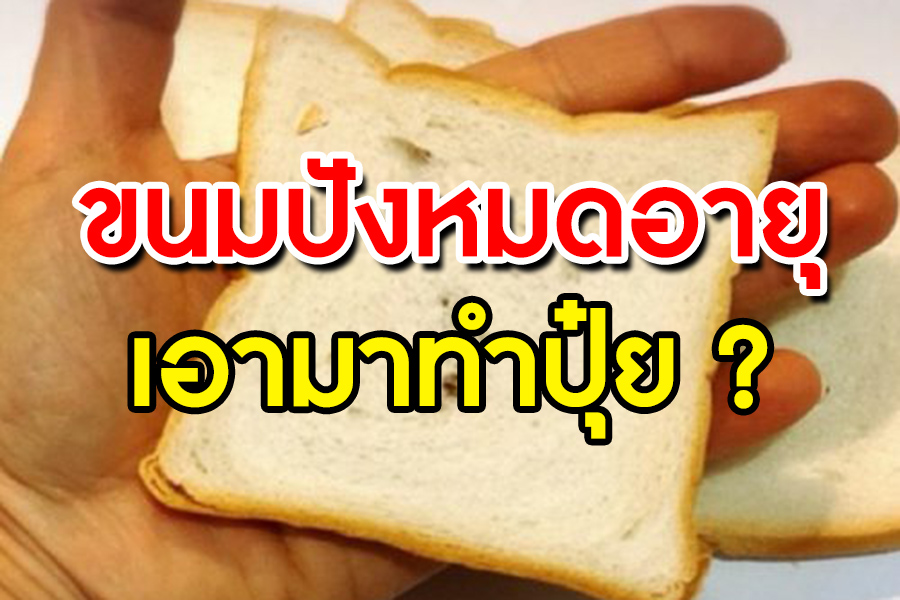 ขนมปังหมดอายุ…เอามาทำปุ๋ยได้? – เขียวขจี นาโน