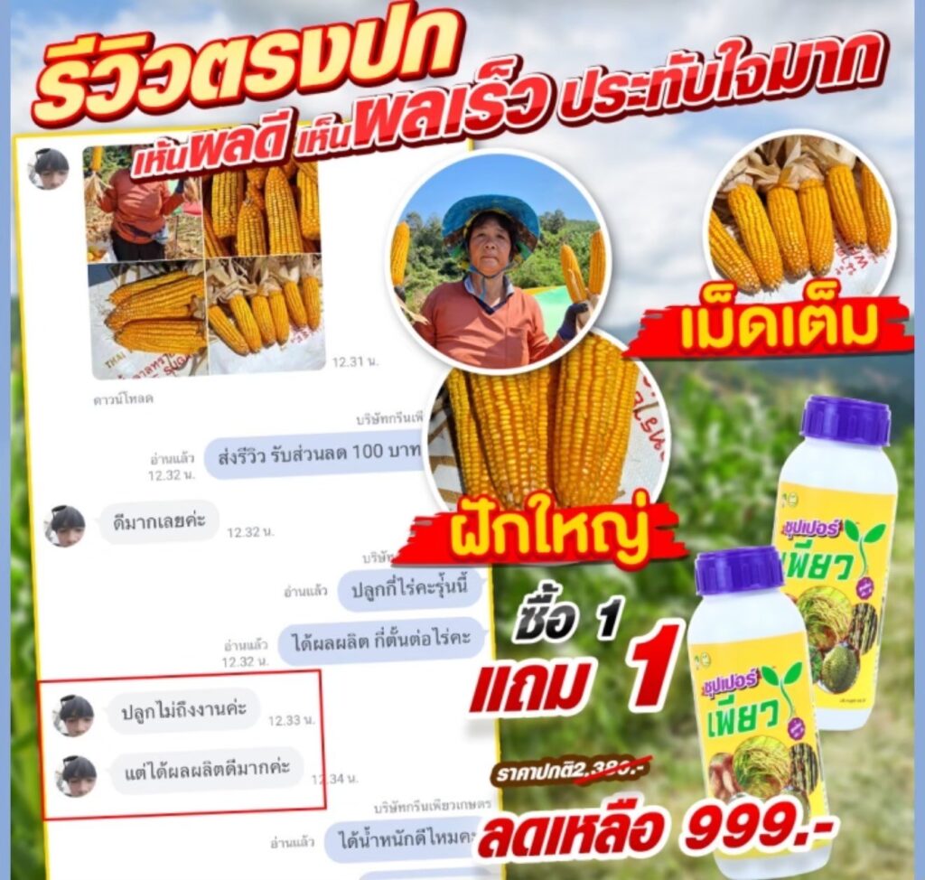 ข้าวโพด เม็ดเต็มฝักใหญ่