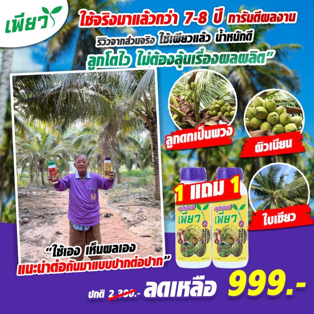 มะพร้าวดก ไม่ขาดคอ ปุ๋ยลดเกินครึ่ง